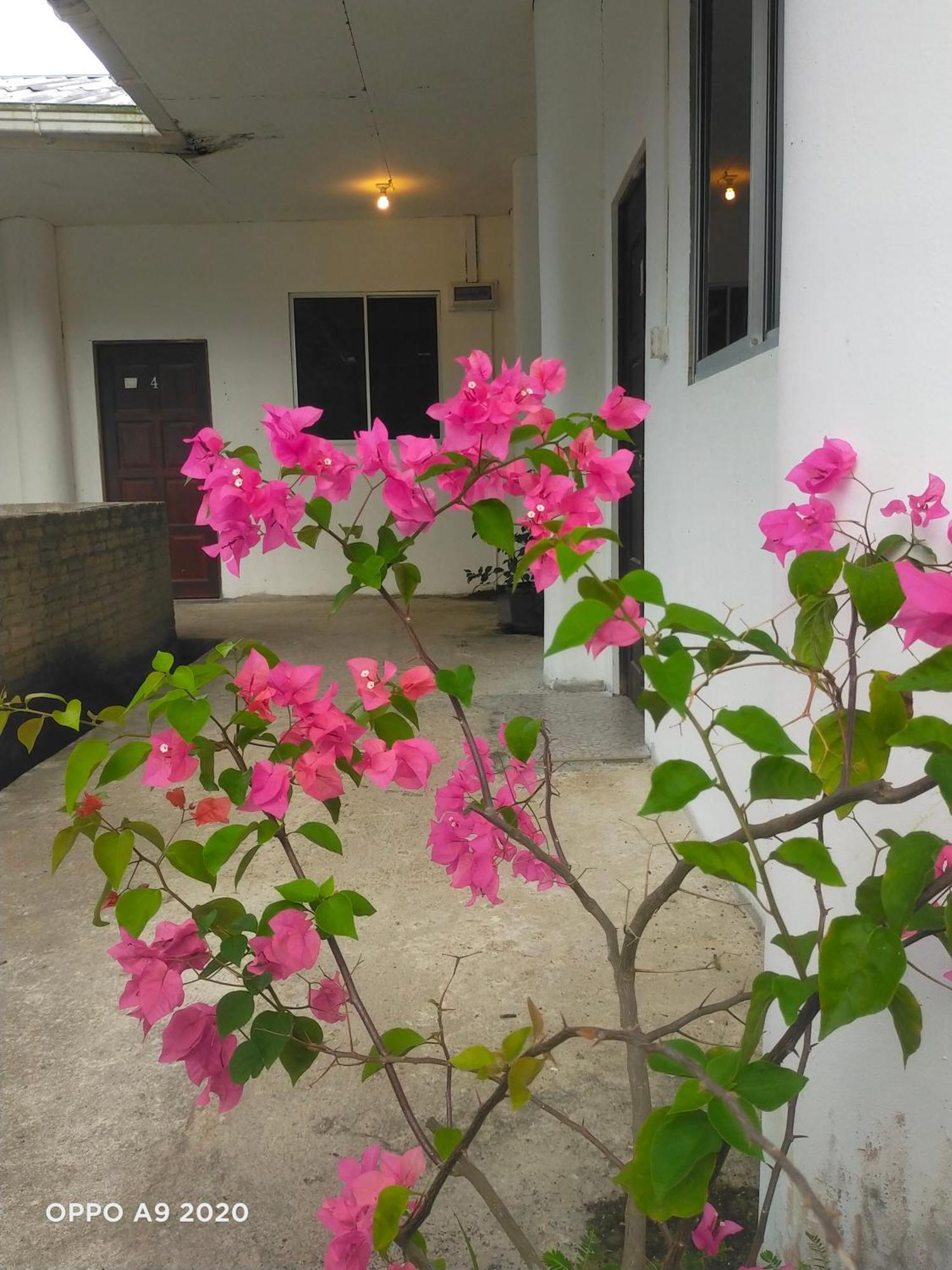 Sukau Tomanggong View Bed & Breakfast Extérieur photo
