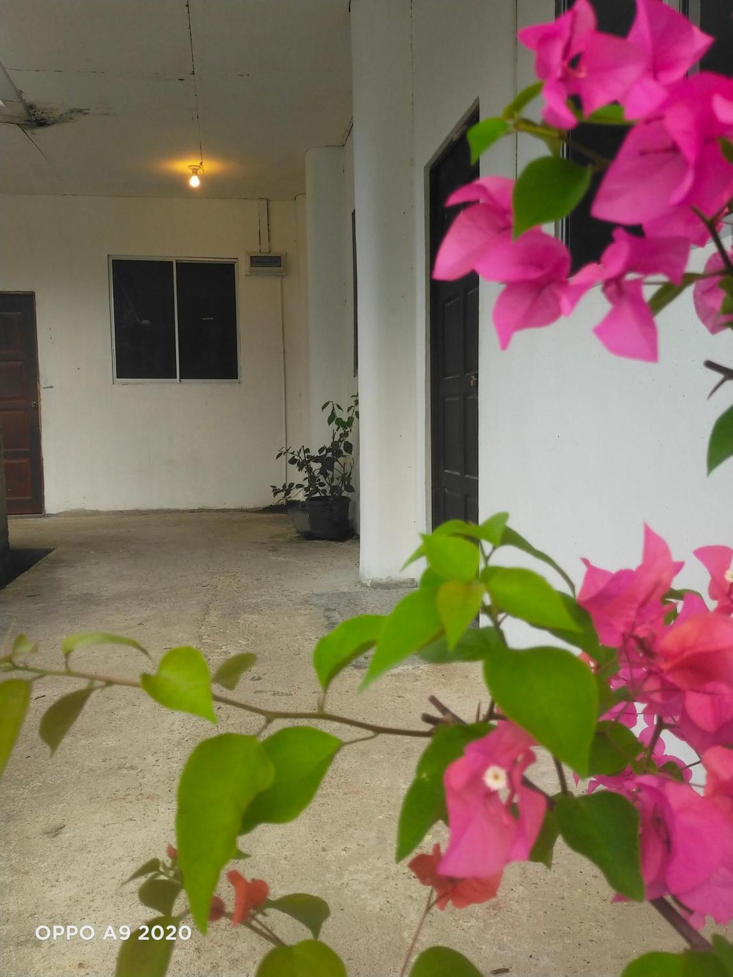 Sukau Tomanggong View Bed & Breakfast Extérieur photo