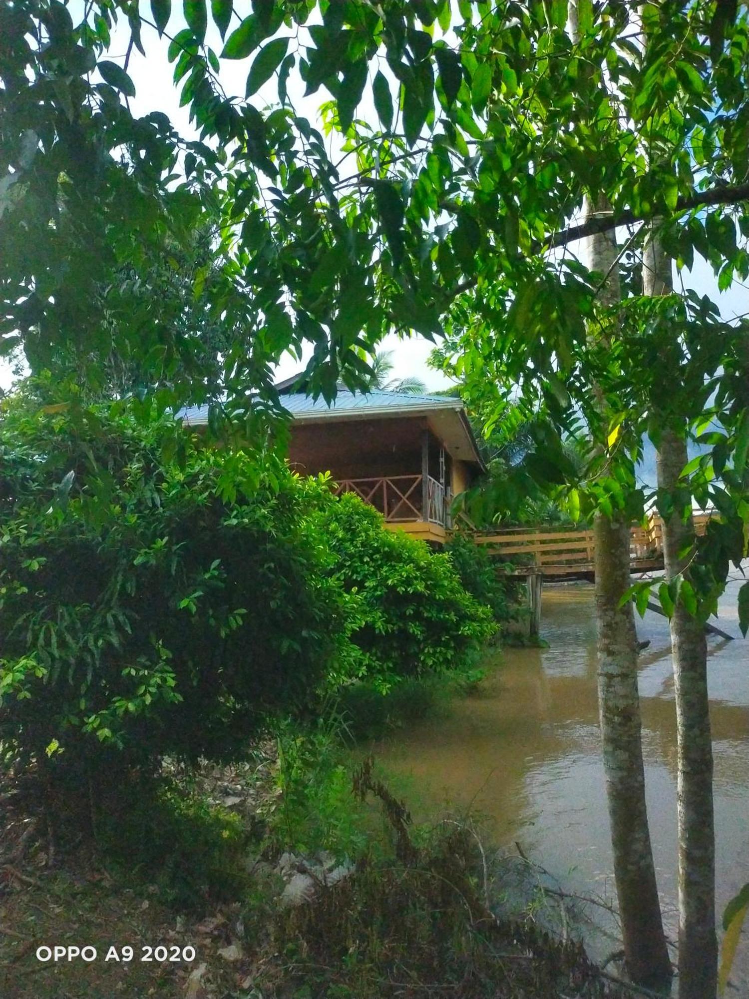 Sukau Tomanggong View Bed & Breakfast Extérieur photo